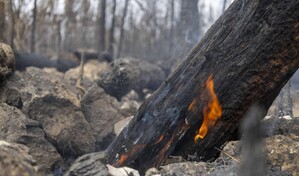 Segunda temporada de incendios arranc&oacute; con r&eacute;cord de fuegos