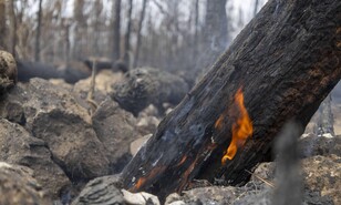 Segunda temporada de incendios arranc&oacute; con r&eacute;cord de fuegos