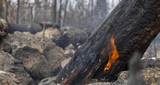 Segunda temporada de incendios arranc&oacute; con r&eacute;cord de fuegos