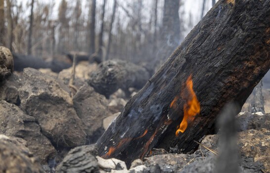 Segunda temporada de incendios arranc&oacute; con r&eacute;cord de fuegos