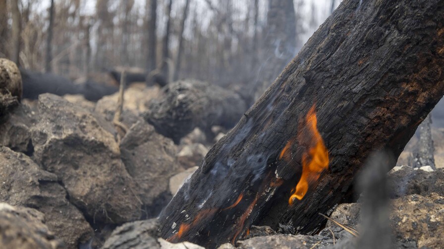 Segunda temporada de incendios arrancó con récord de fuegos Segunda temporada de incendios arrancó con récord de fuegos