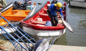Pescadores y comerciantes, en la lucha por su sustento diario tras los sismos en Venezuela
