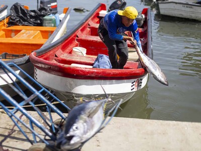 La lucha diaria de pescadores tras terremotos en Venezuela