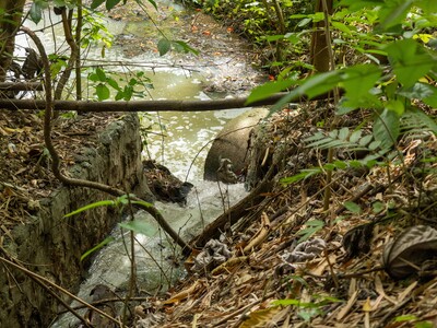 Untreated sewage creates sanitation crisis in Dominican Republic housing project