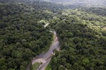 Oro en el Dari&eacute;n: el complejo sistema il&iacute;cito del Clan del Golfo que Panam&aacute; quiere romper