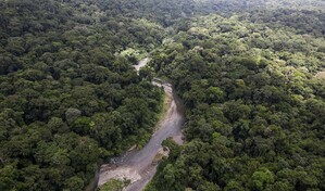 Oro en el Dari&eacute;n: el complejo sistema il&iacute;cito del Clan del Golfo que Panam&aacute; quiere romper