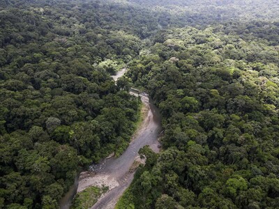 Operations against illegal mining in Darién target Clan del Golfo