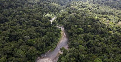 Oro en el Dari&eacute;n: el complejo sistema il&iacute;cito del Clan del Golfo que Panam&aacute; quiere romper