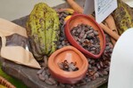 Las exportaciones de cacao alcanzaron los 669 millones de d&oacute;lares en 2025