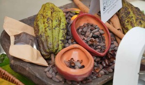 Las exportaciones de cacao alcanzaron los 669 millones de d&oacute;lares en 2025