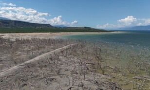 Rep&uacute;blica Dominicana advierte en cumbre de desertificaci&oacute;n sobre riesgo de sequ&iacute;a