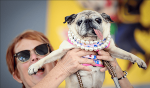 Coronan en EE. UU. al ganador del concurso del perro m&aacute;s feo del mundo