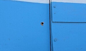 Adolescente de 16 a&ntilde;os muere tras ser alcanzado por una bala dentro de su casa en Santiago