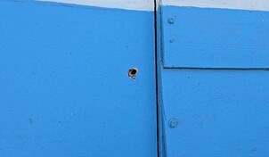 Adolescente de 16 a&ntilde;os muere tras ser alcanzado por una bala dentro de su casa en Santiago