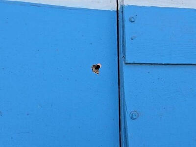 Muere adolescente alcanzado por una bala en Santiago