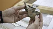 Nakali, la mand&iacute;bula de diez millones de a&ntilde;os que mira al origen del ser humano