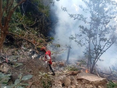 Director de Inteligencia de Ecuador fallece en accidente aéreo