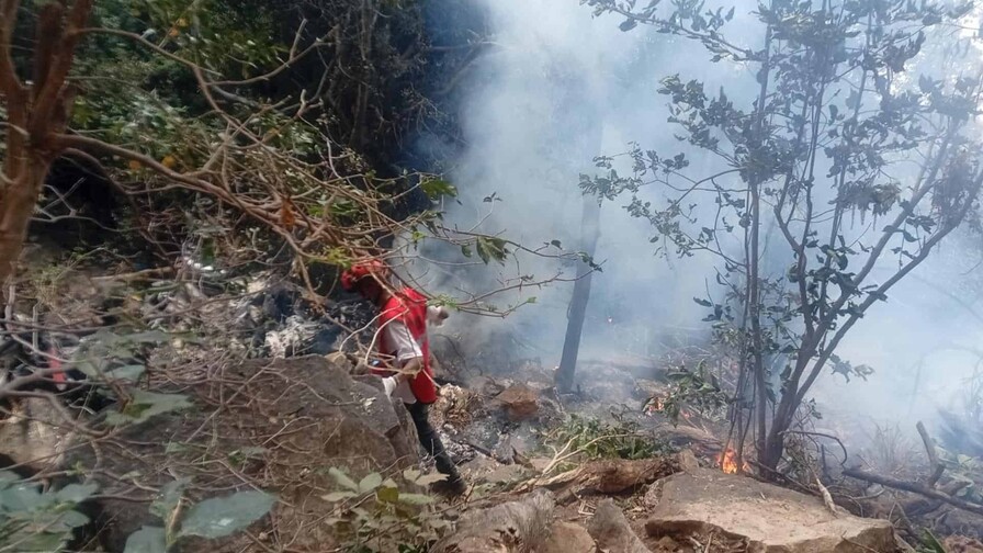 Fallecen el director de Inteligencia de Ecuador y su esposa en un accidente en Kenia