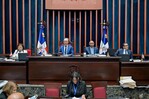 El Senado desempolva proyecto para frenar la proliferaci&oacute;n de bancas