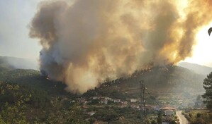 B&eacute;lgica controla el mayor incendio forestal de su historia