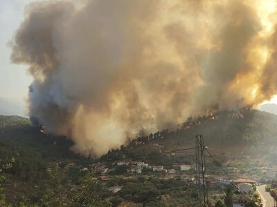 Bélgica controla el mayor incendio forestal en su historia