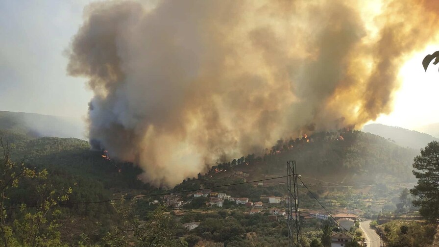 Bélgica controla el mayor incendio forestal de su historia Bélgica controla el mayor incendio forestal de su historia