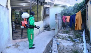 Con seis nuevas confirmaciones, casos de dengue suben a 245; Salud P&uacute;blica dice est&aacute; bajo control