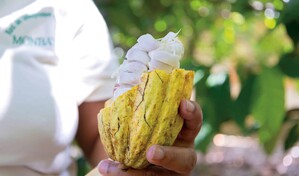 Anuncian la celebraci&oacute;n de la sexta versi&oacute;n del Festival del Chocolate Dominicano