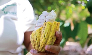 Chocolate y caf&eacute; made in DR