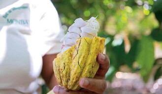 Chocolate y caf&eacute; made in DR