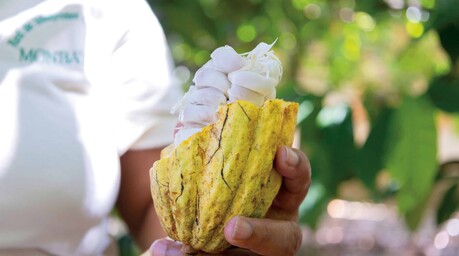 Cacao dominicano ampl&iacute;a su oferta de productos y busca aumentar su capacidad de producci&oacute;n