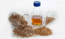 RD potencia en mercado mundial de un producto casi desconocido: el furfural