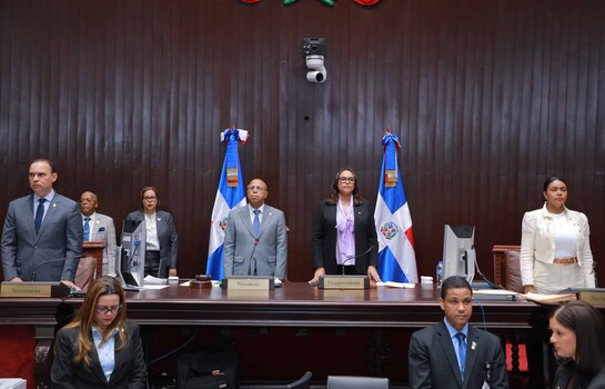 A menos de un mes del fallo del TC, el Congreso ya debate dos proyectos para regular venta de alcohol