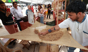 Productores de amaranto en M&eacute;xico exhiben sus productos en defensa de su grano ancestral
