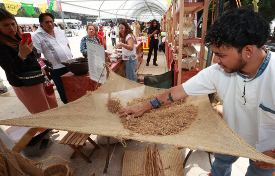 Productores de amaranto en M&eacute;xico exhiben sus productos en defensa de su grano ancestral