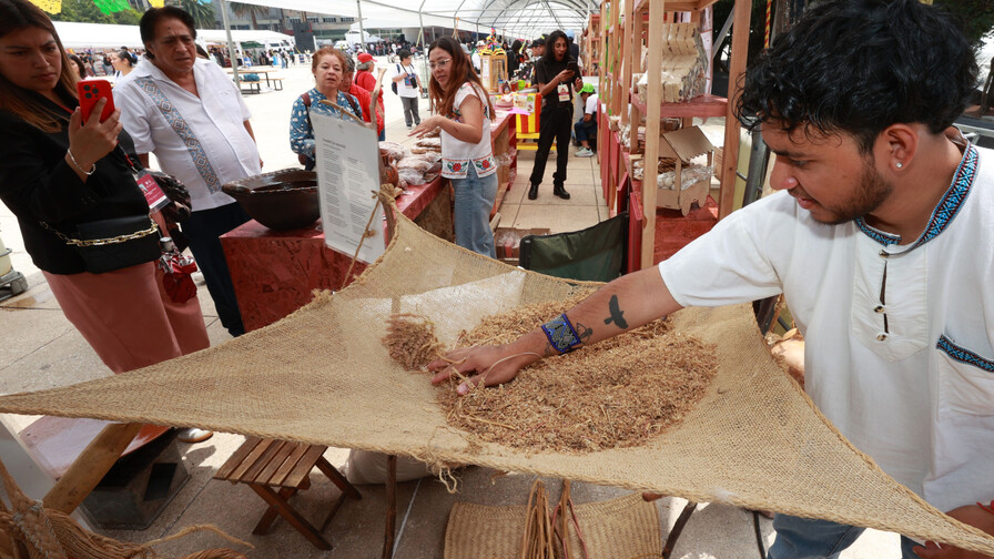 Productores de amaranto en México exhiben sus productos en defensa de su grano ancestral Productores de amaranto en México exhiben sus productos en defensa de su grano ancestral