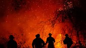 Incendios en el centro de Colombia consumen m&aacute;s de 20,000 hect&aacute;reas de bosques y cultivos