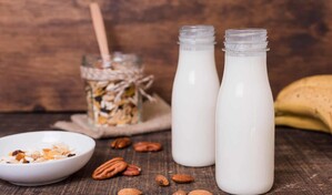 &iquest;La leche vegetal es leche de verdad?