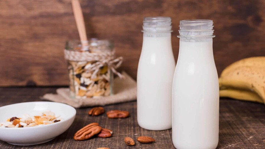 ¿La leche vegetal es leche de verdad? ¿La leche vegetal es leche de verdad?