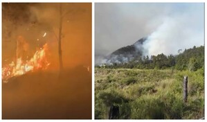 Valle Nuevo bajo fuego: brigadas forestales trabajan para contener incendio