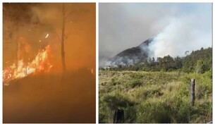 Valle Nuevo bajo fuego: brigadas forestales trabajan para contener incendio