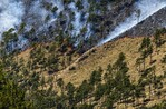 Aumento de intensidad de incendio en Valle Nuevo obliga a cerrar nuevamente el parque Aumento de intensidad de incendio en Valle Nuevo obliga a cerrar nuevamente el parque