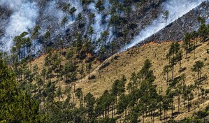 Aumento de intensidad de incendio en Valle Nuevo obliga a cerrar nuevamente el parque