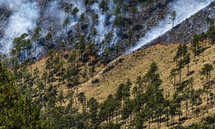 Aumento de intensidad de incendio en Valle Nuevo obliga a cerrar nuevamente el parque