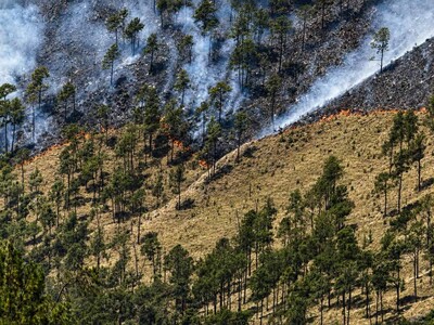 Cierre temporal en Parque Nacional Valle Nuevo por incendio forestal
