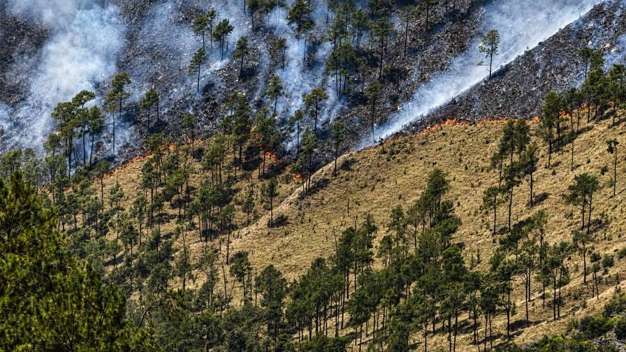 Aumento de intensidad de incendio en Valle Nuevo obliga a cerrar nuevamente el parque