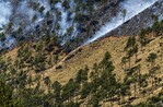 Controlan incendio forestal en Valle Nuevo tras 36 horas de labores Controlan incendio forestal en Valle Nuevo tras 36 horas de labores
