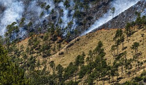 Controlan incendio forestal en Valle Nuevo tras 36 horas de labores