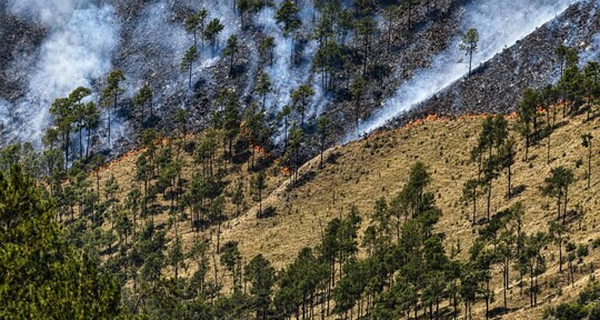 Controlan incendio forestal en Valle Nuevo tras 36 horas de labores