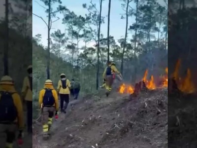 Incendio forestal en Valle Nuevo bajo control; continúan labores